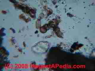Paint lab Photograph of sample of failed paint